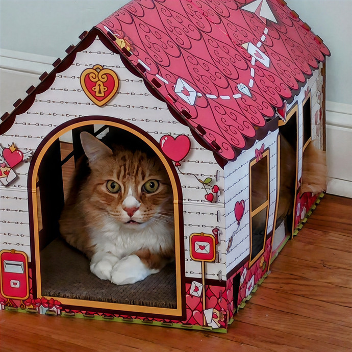 Purrfectly Pawsome Cat Sitter