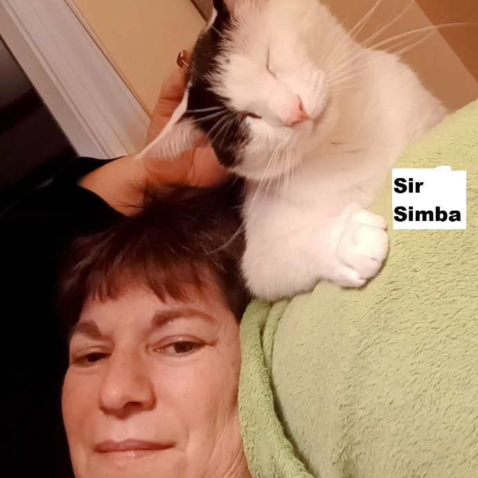 Purrfectly Pawsome Cat Sitter