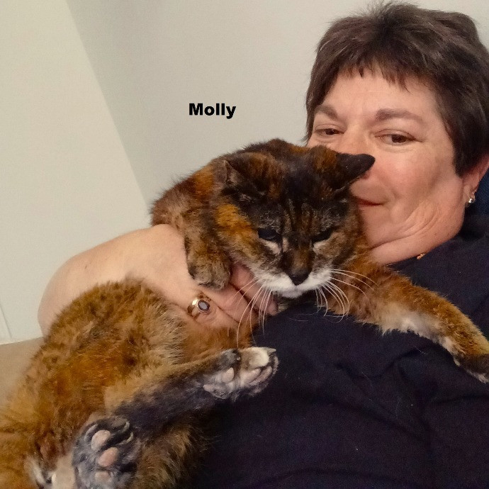 Purrfectly Pawsome Cat Sitter