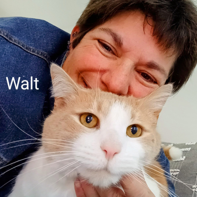 Purrfectly Pawsome Cat Sitter