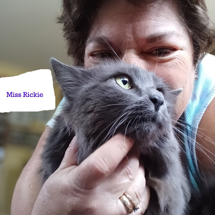 Purrfectly Pawsome Cat Sitter