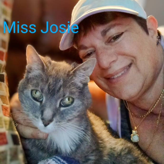 Purrfectly Pawsome Cat Sitter