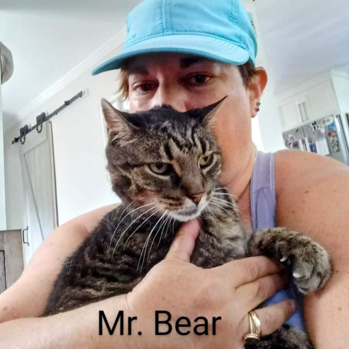 Purrfectly Pawsome Cat Sitter