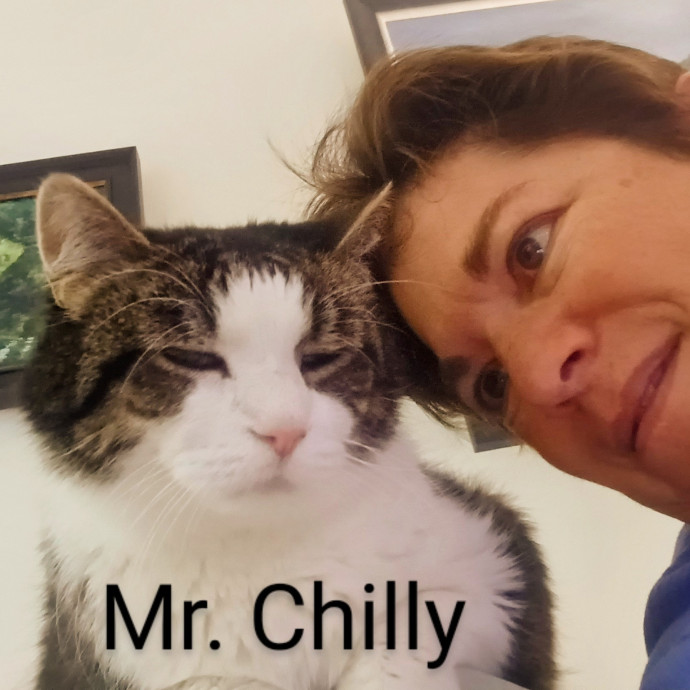Purrfectly Pawsome Cat Sitter