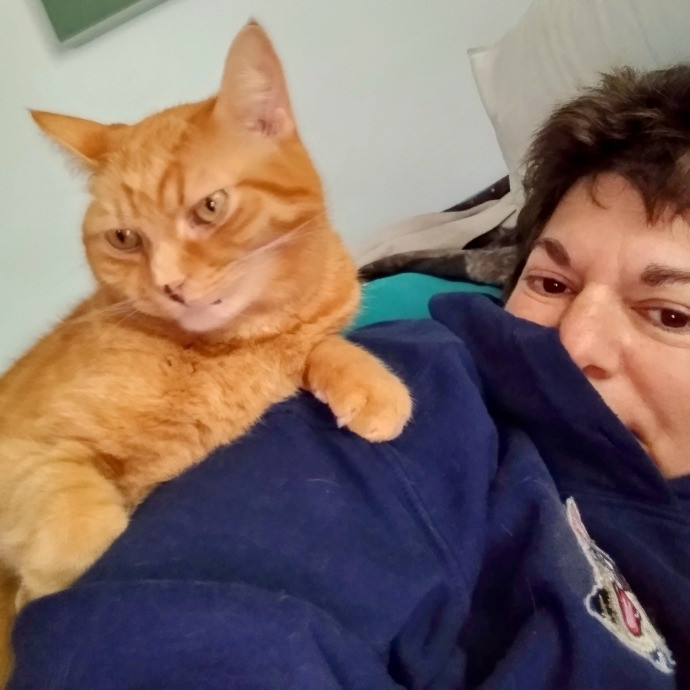 Purrfectly Pawsome Cat Sitter