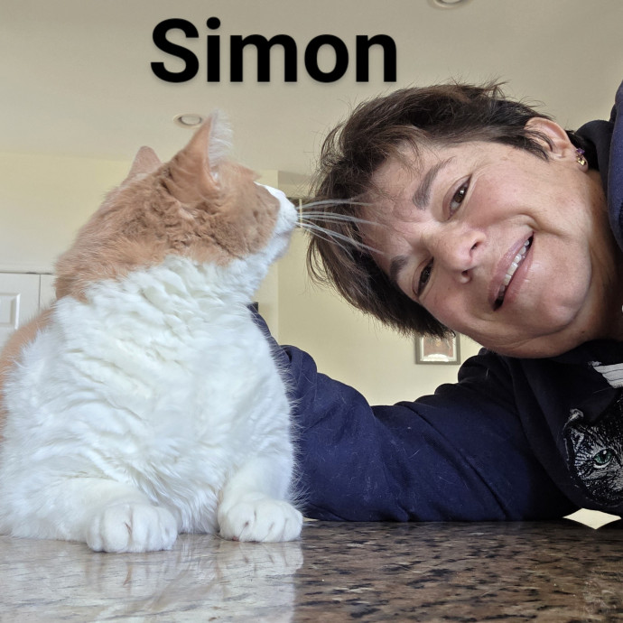 Purrfectly Pawsome Cat Sitter