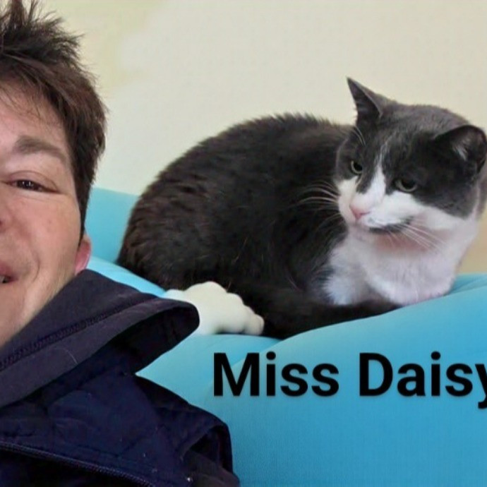 Purrfectly Pawsome Cat Sitter