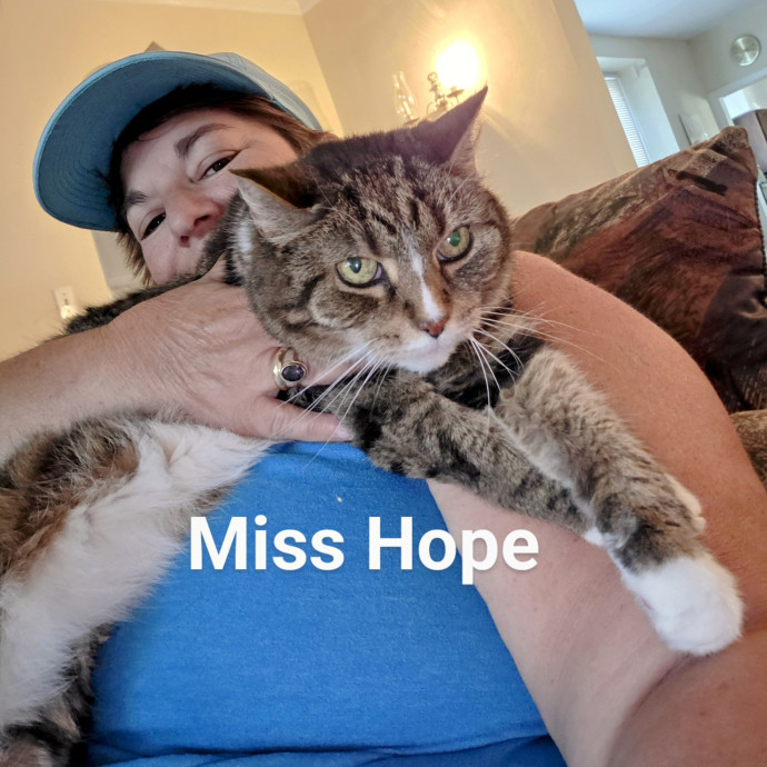 Purrfectly Pawsome Cat Sitter
