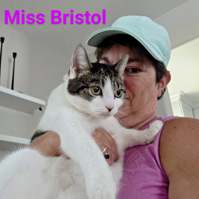 Purrfectly Pawsome Cat Sitter