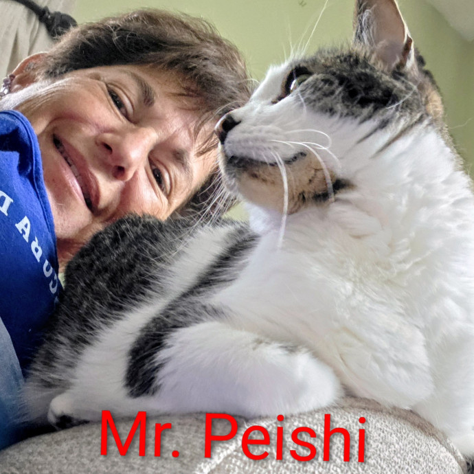 Purrfectly Pawsome Cat Sitter