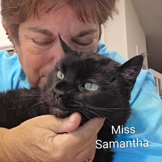 Purrfectly Pawsome Cat Sitter