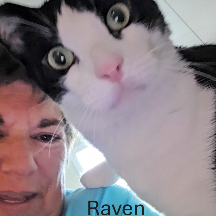Purrfectly Pawsome Cat Sitter
