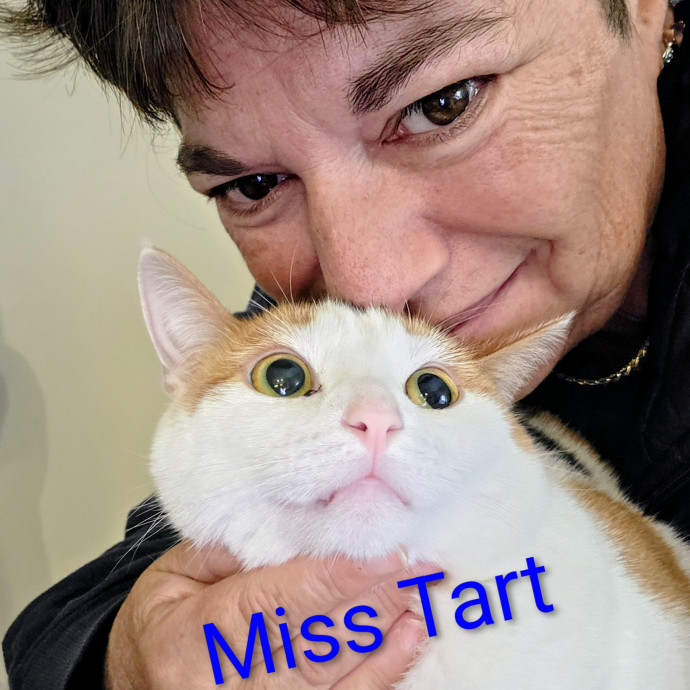 Purrfectly Pawsome Cat Sitter