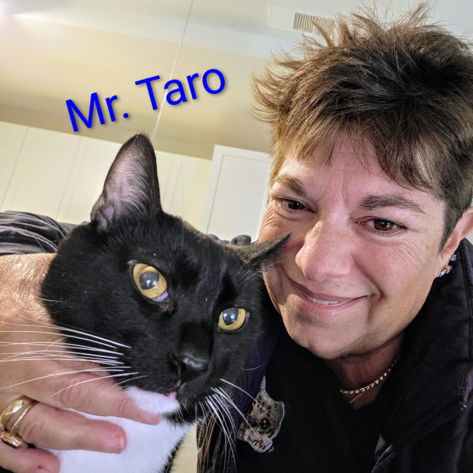 Purrfectly Pawsome Cat Sitter