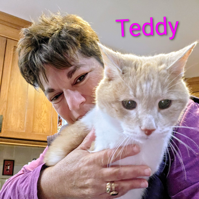 Purrfectly Pawsome Cat Sitter