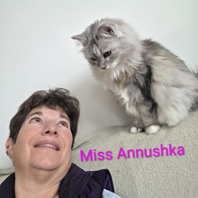 Purrfectly Pawsome Cat Sitter
