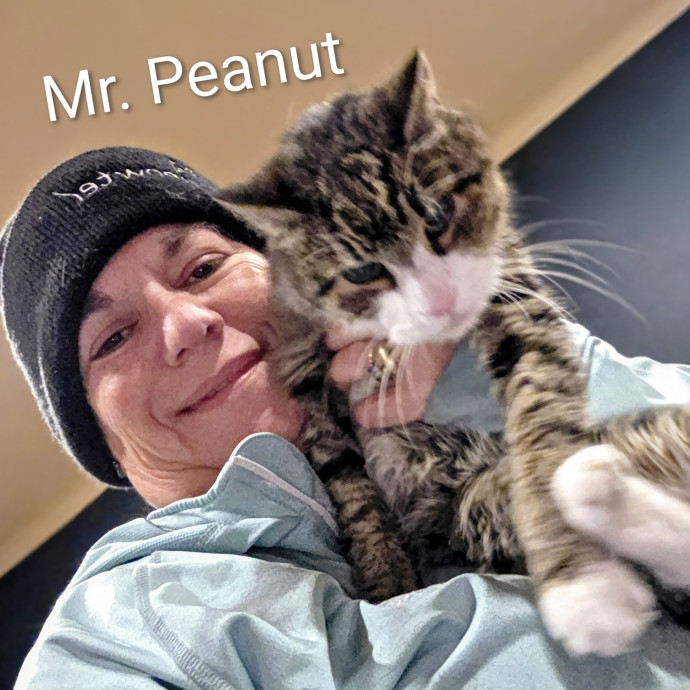 Purrfectly Pawsome Cat Sitter