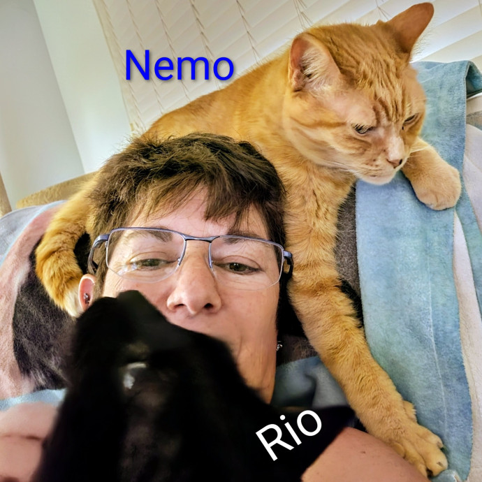 Purrfectly Pawsome Cat Sitter