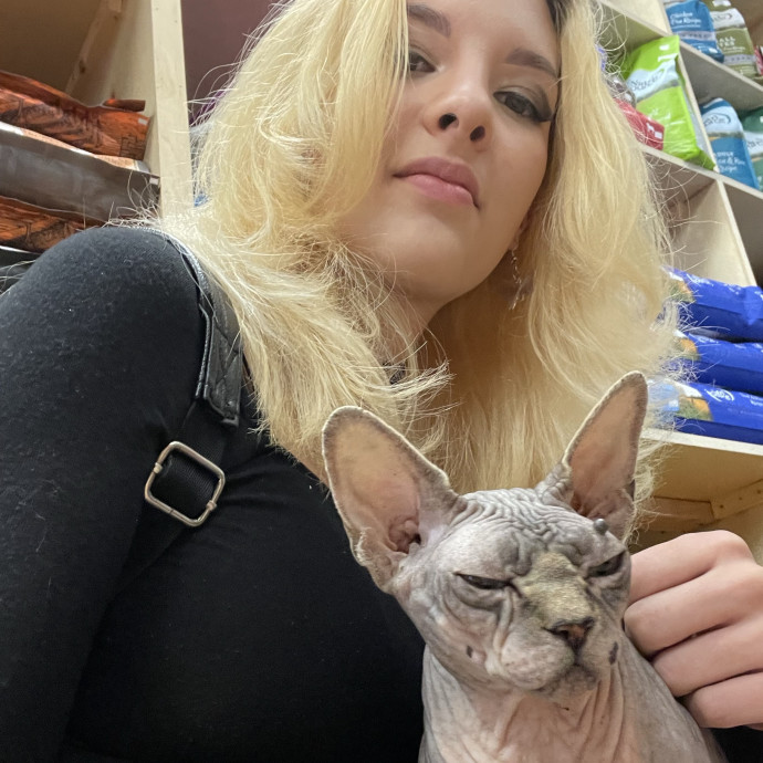 Calm Confident Cat Sitter photo 2