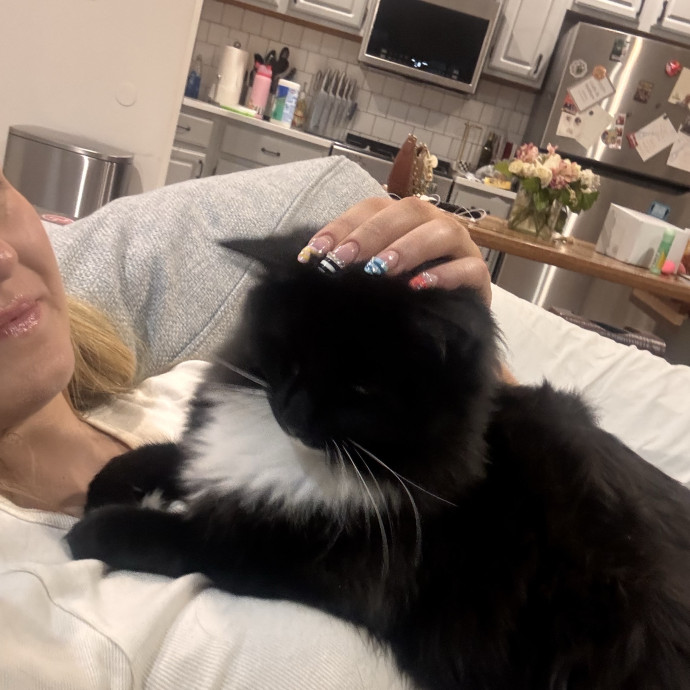Your Cat's New Best Friend