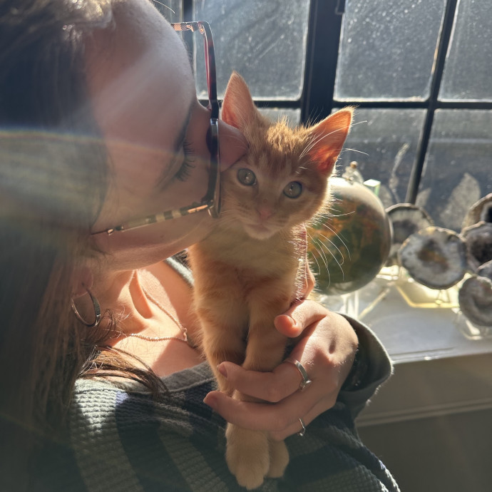 Patient And Loving Cat Sitter