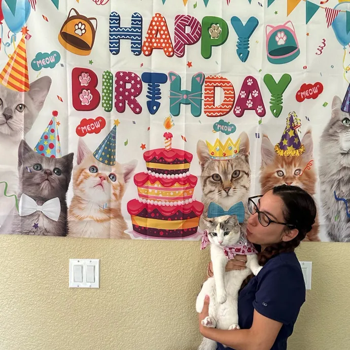 Cats Are Our Best Friends