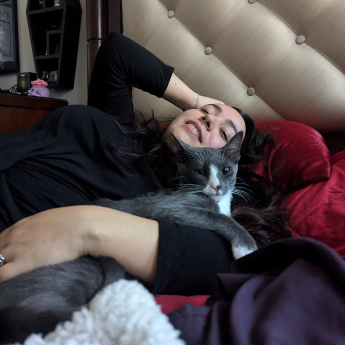 Happy Healthy Kitties