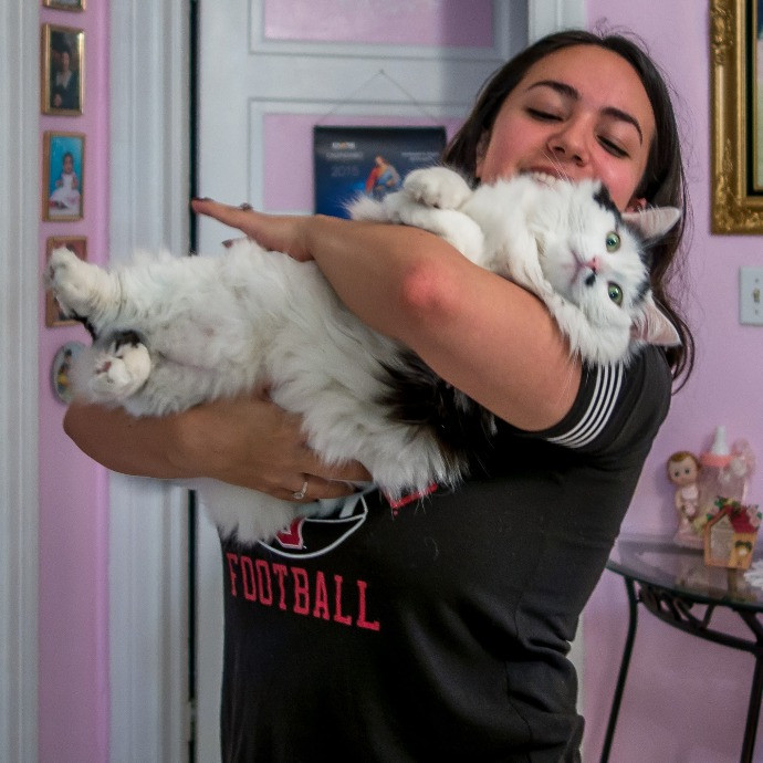 Happy Healthy Kitties photo 2