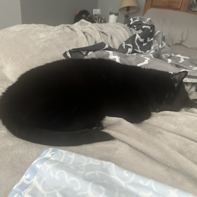 Loving Care When You're Not There