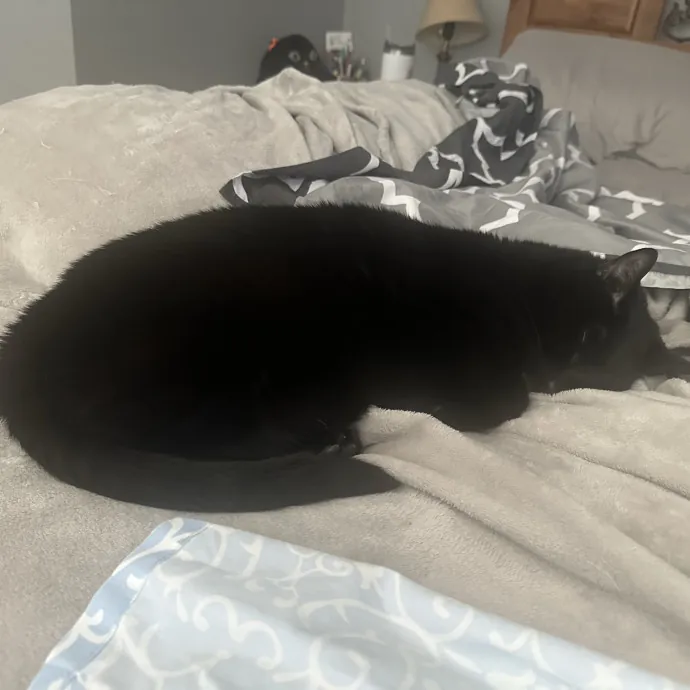 Loving Care When You're Not There