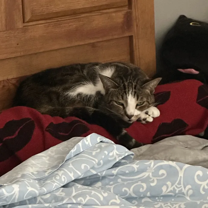 Loving Care When You're Not There