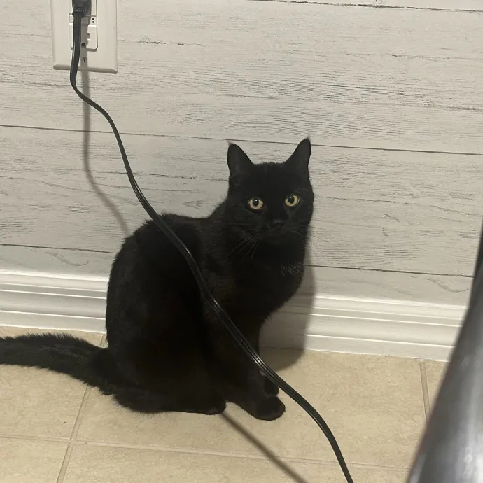 Loving Care When You're Not There