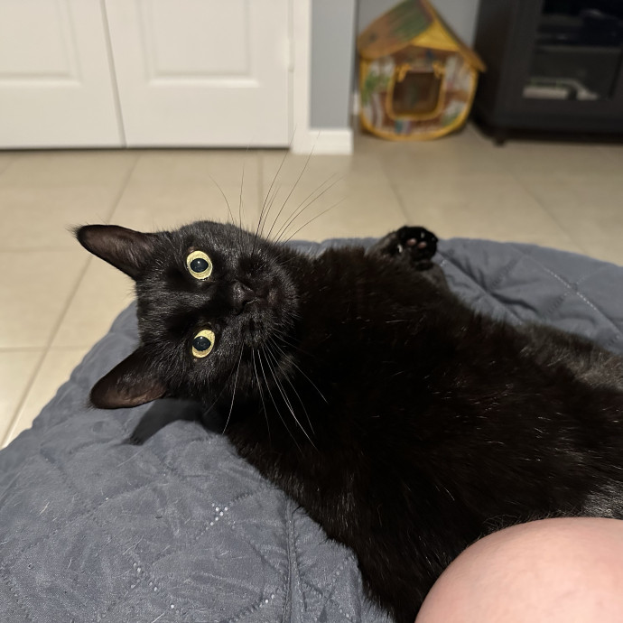 Loving Care When You're Not There