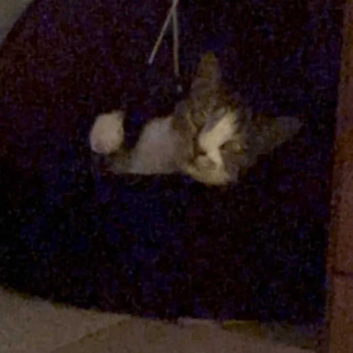 Loving Care When You're Not There photo 3