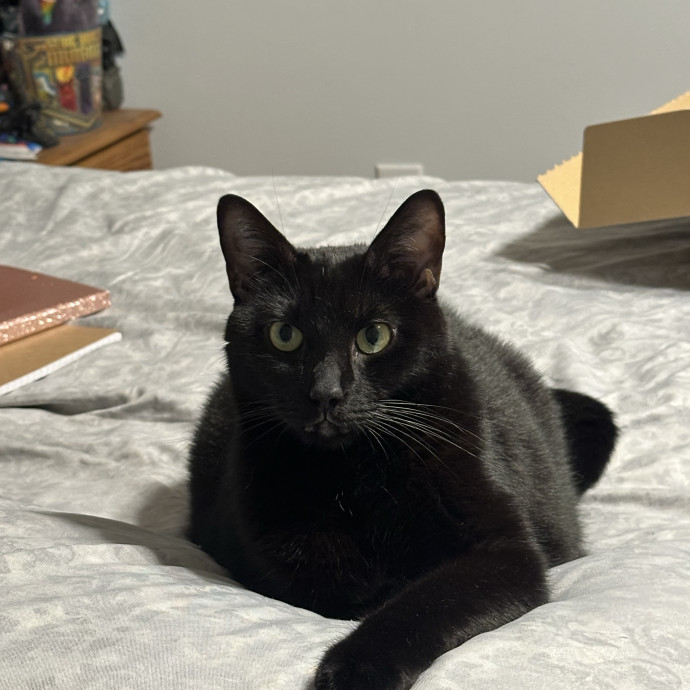Loving Care When You're Not There