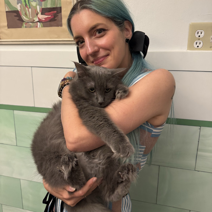 Cats Wellness And Magic - Oh My