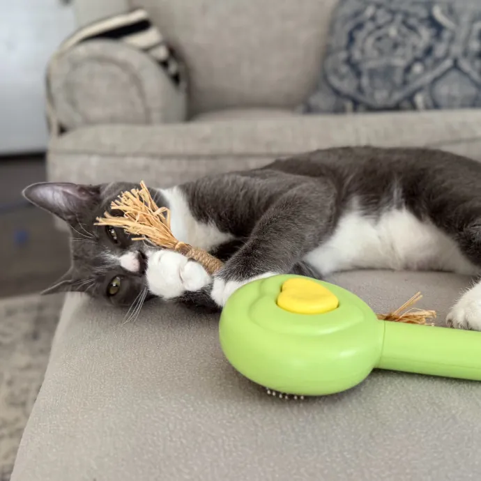 Your Cat's Purrfect Friend