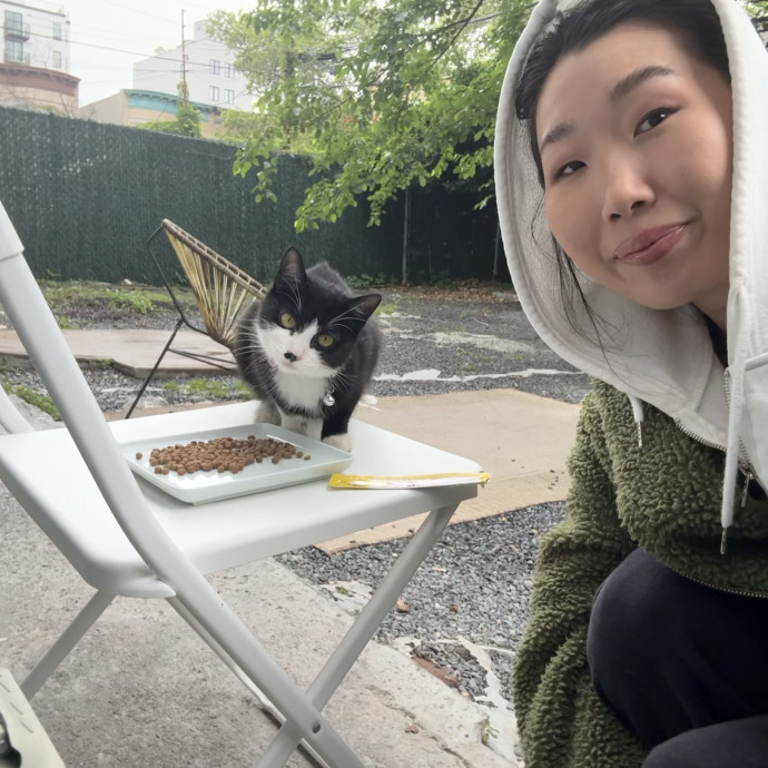 Experiencededucated In Cat Behavior