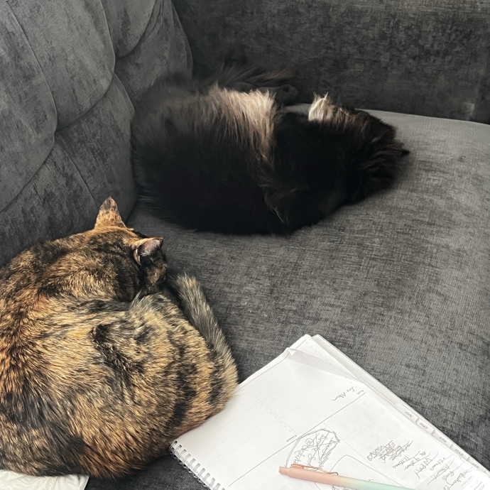 Cat Care From A Cat Mom