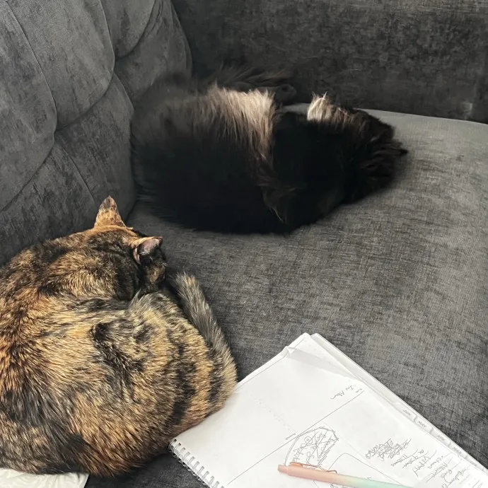 Cat Care From A Cat Mom