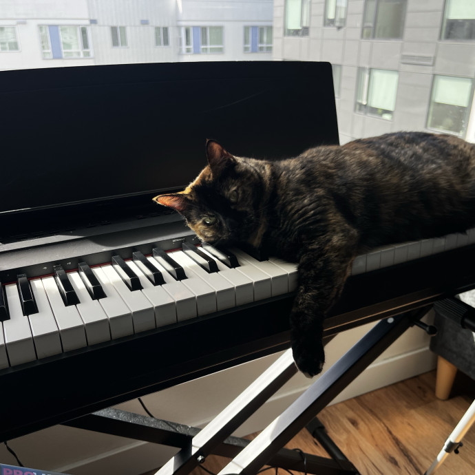 Cat Care From A Cat Mom