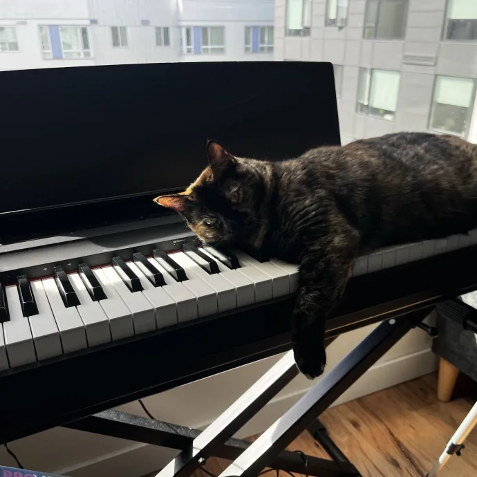 Cat Care From A Cat Mom