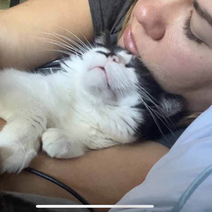 Treating Your Kitties Just Like My Own