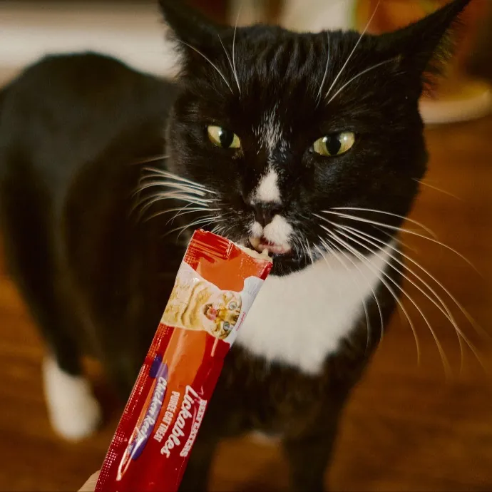 Kimberly's Chonk And Slonk Daycare