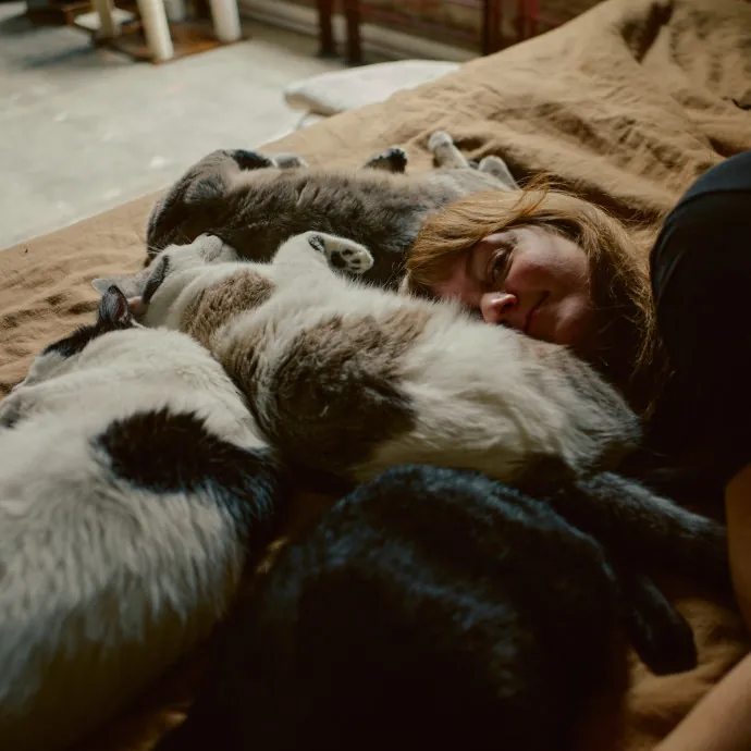 Kimberly's Chonk And Slonk Daycare