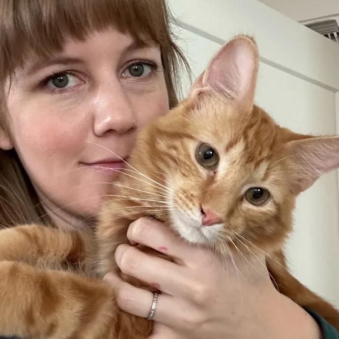 Kimberly's Chonk And Slonk Daycare photo 4