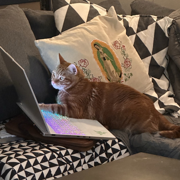 Friendly Feline Sitter photo 3