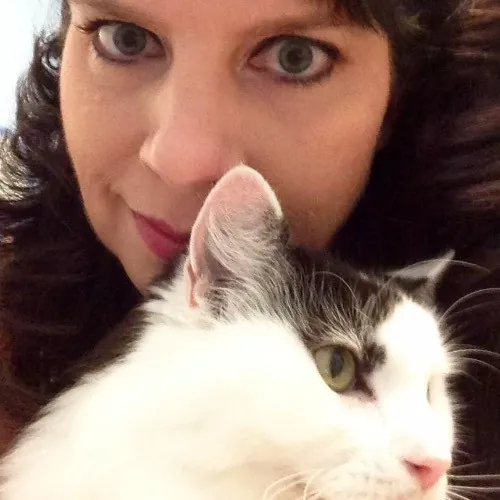 Paws And Purrs Kitty Sitting photo 2