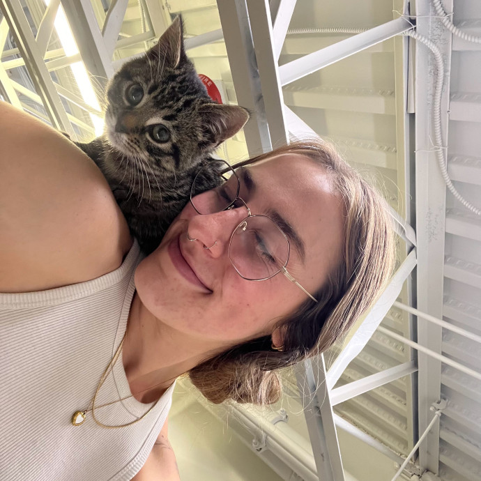 Avery's Compassionate Cat Care