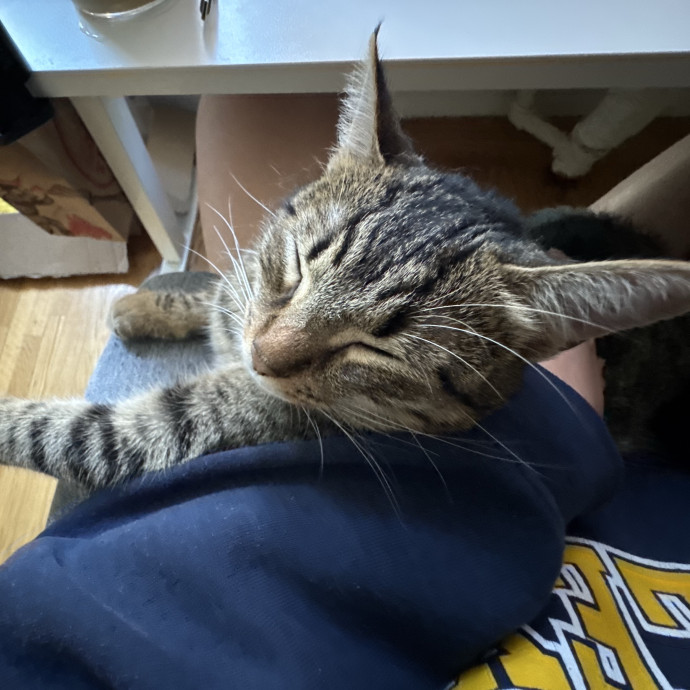 Cal Grad  Cat Foster